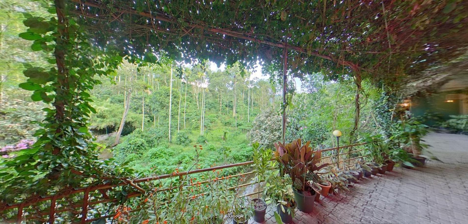 Wayanad Royal Stream Bed & Breakfast Kalpetta Bagian luar foto
