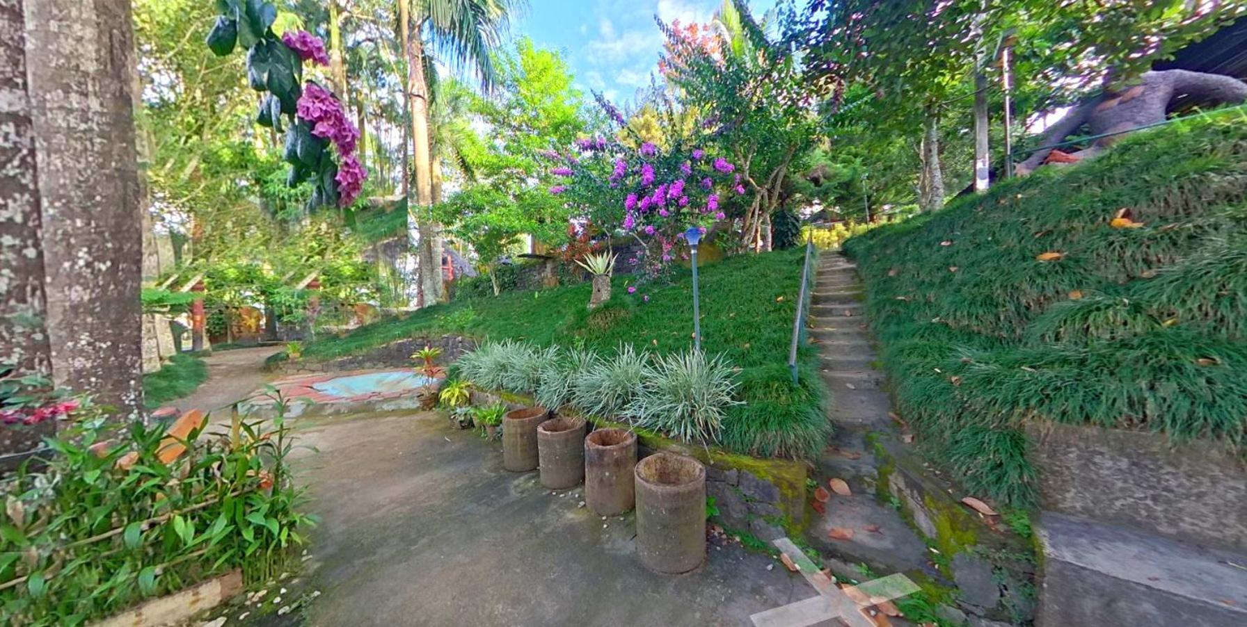 Wayanad Royal Stream Bed & Breakfast Kalpetta Bagian luar foto
