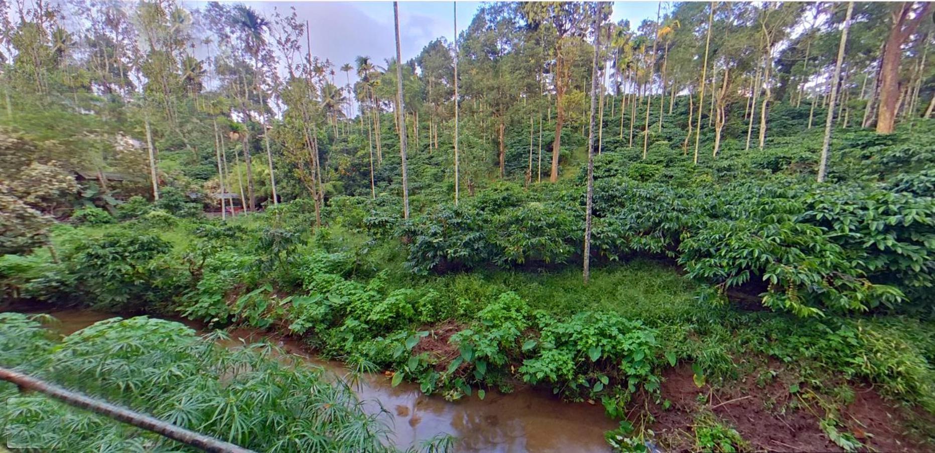 Wayanad Royal Stream Bed & Breakfast Kalpetta Bagian luar foto