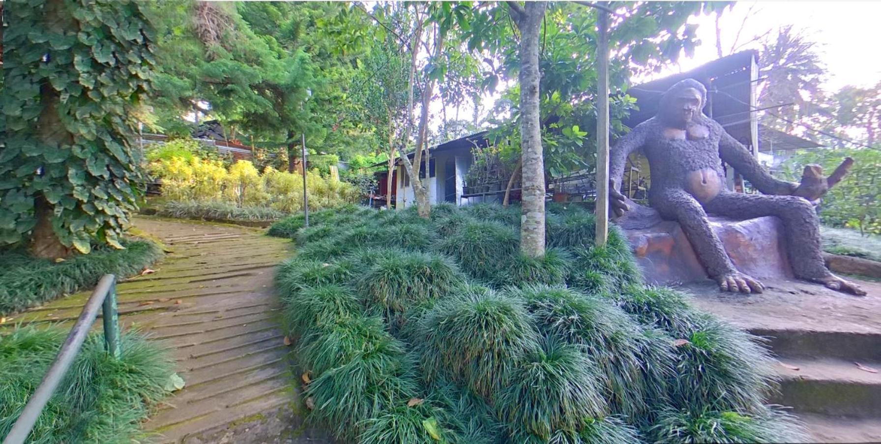Wayanad Royal Stream Bed & Breakfast Kalpetta Bagian luar foto