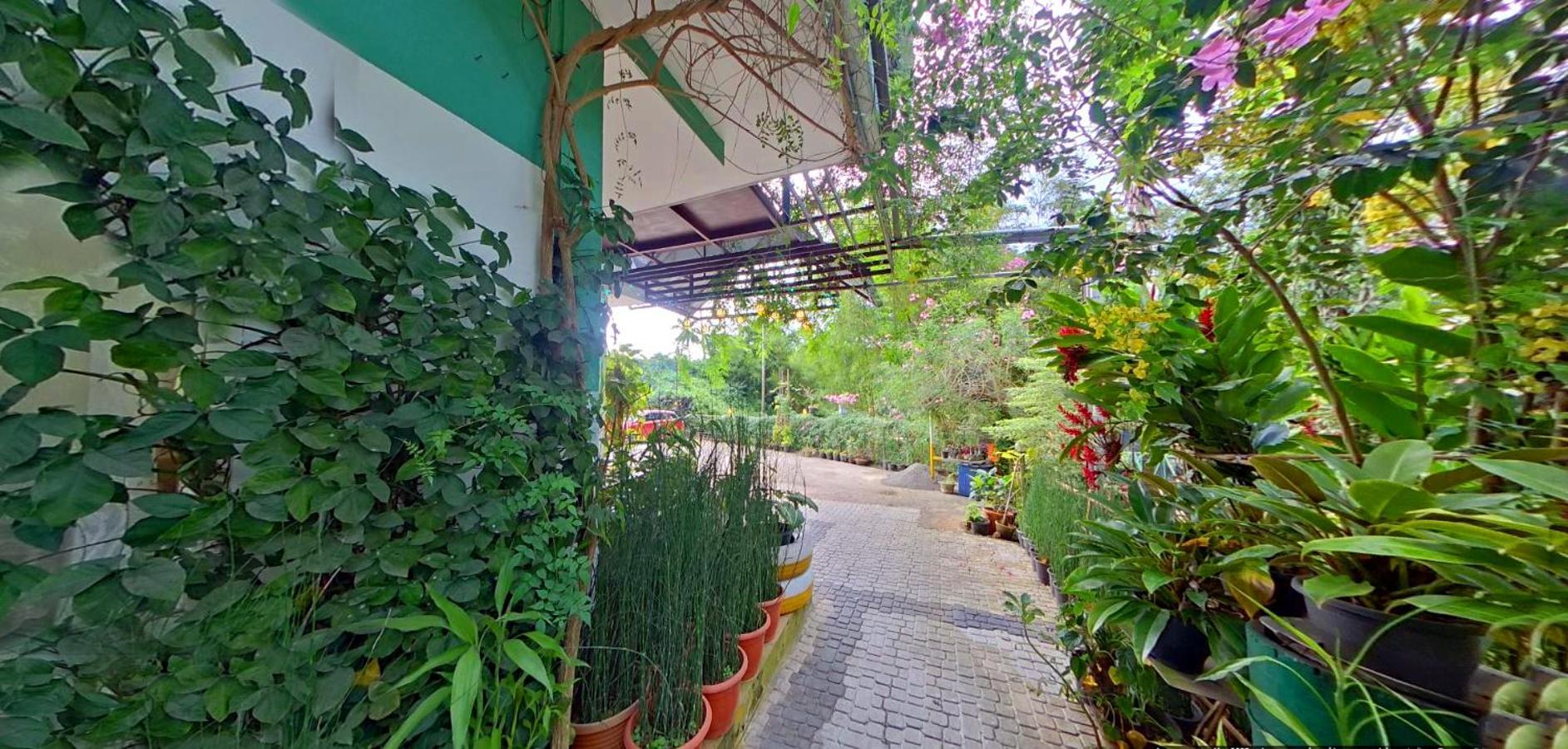 Wayanad Royal Stream Bed & Breakfast Kalpetta Bagian luar foto